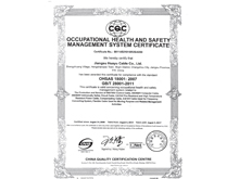 OHS management system